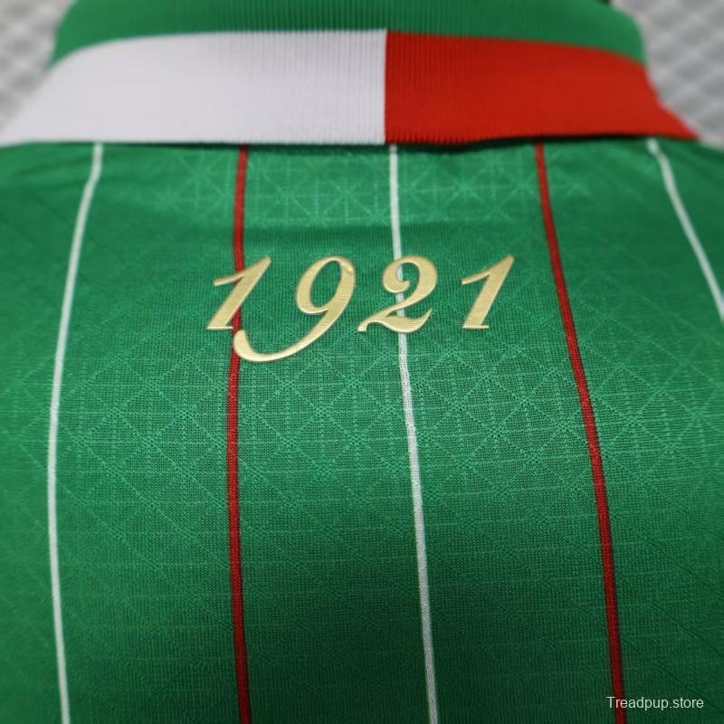 Player Version 25/26 Palestina Green Jersey